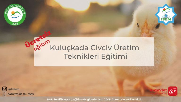 Kuluçkada Civciv Üretim Teknikleri