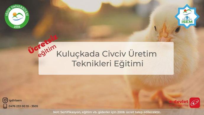 Kuluçkada Civciv Üretimi Teknikleri