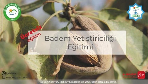 Badem Yetiştiriciliği